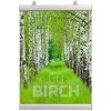 Poster-Clamp, 30 cm, alu/silver #10